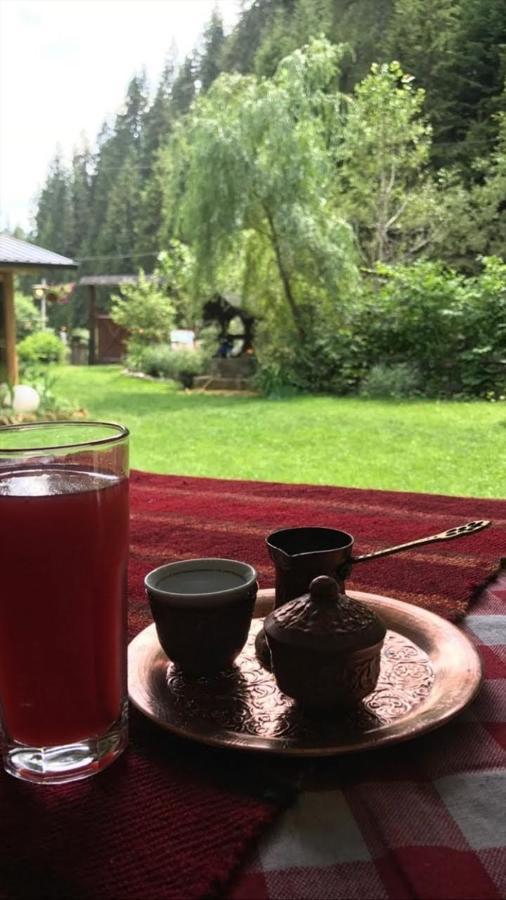 Sastanci-Grahovaca Villa Rozaje Bagian luar foto