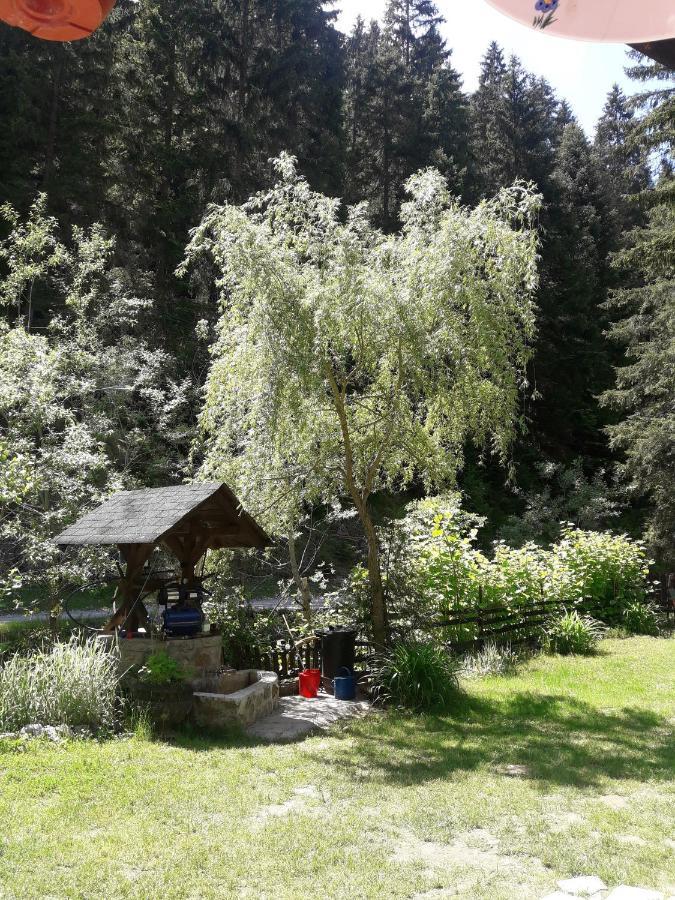 Sastanci-Grahovaca Villa Rozaje Bagian luar foto